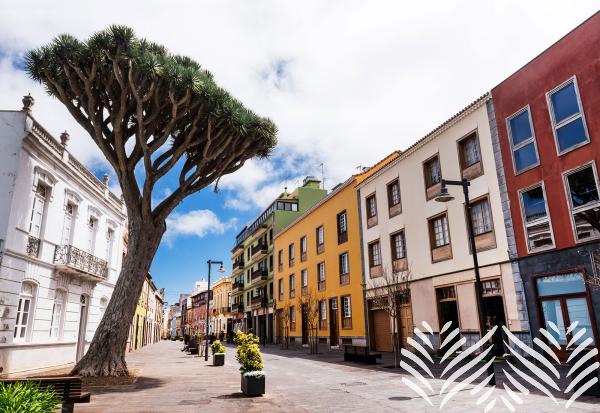 Santa Cruz de Tenerife - főváros