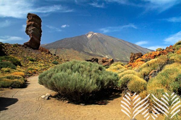 Park National Del Teide