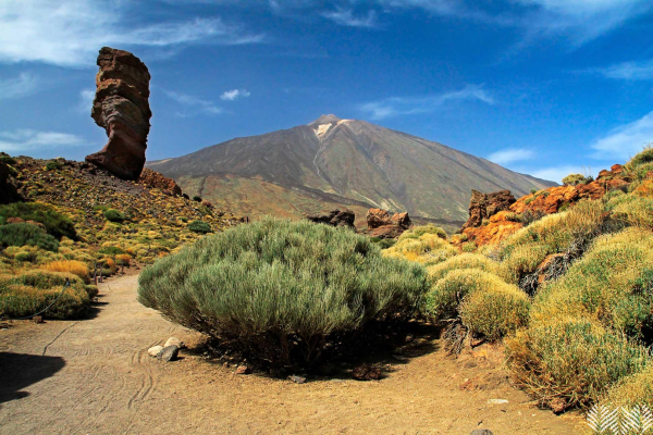 Park National Del Teide