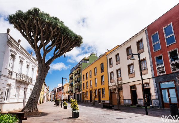 Santa Cruz de Tenerife - capital city