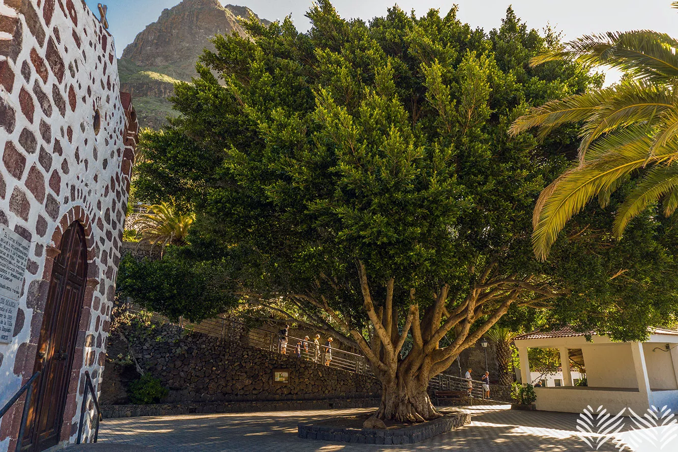 Masca völgy - Tenerife
